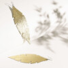 FEATHERS Grande Folio Gold web 800x800 1
