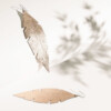FEATHERS Grande Folio Rose Gold web 800x800 1